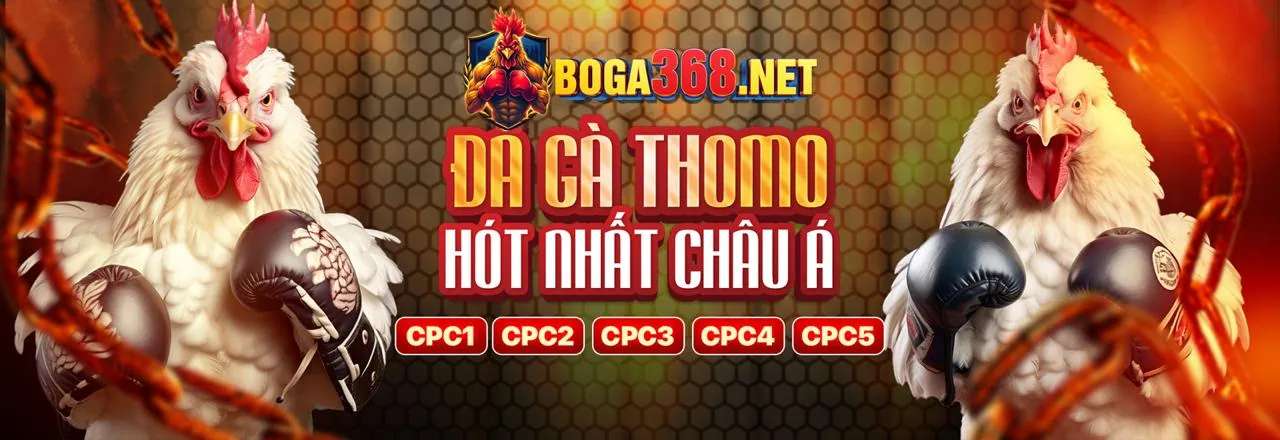 Banner khuyến mãi đá gà hấp dẫn tại okkingcom khuyến mãi