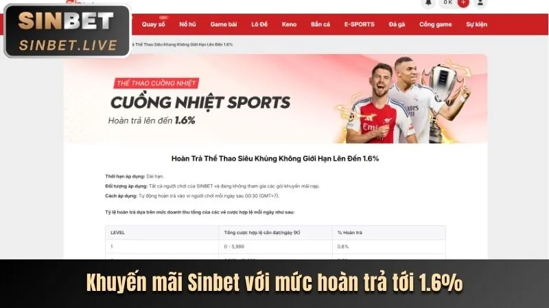 Hoàn trả cao hàng ngày/tuần tại okkingcom